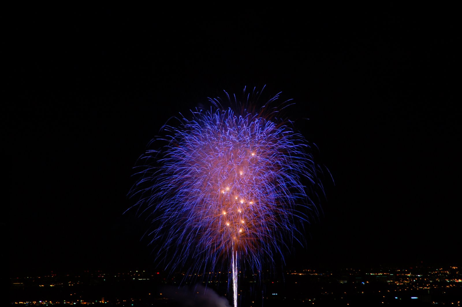 [DSC_0051.JPG]