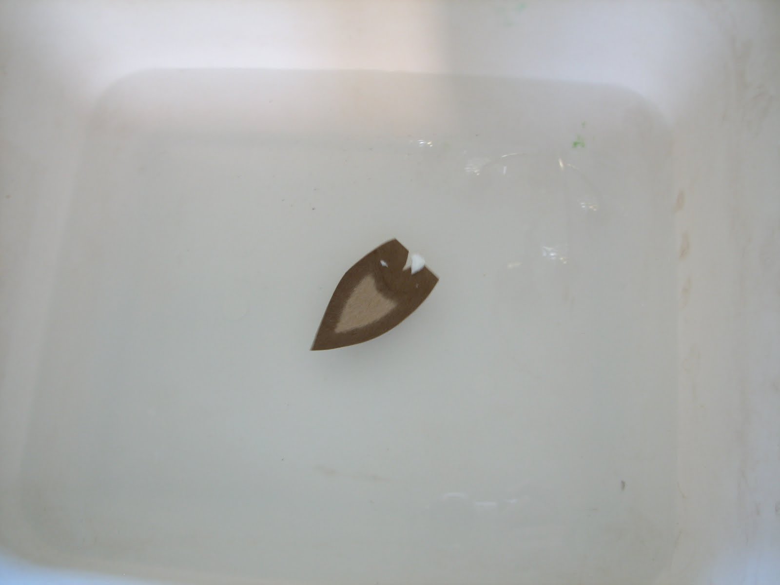 Science Matters Boat Races