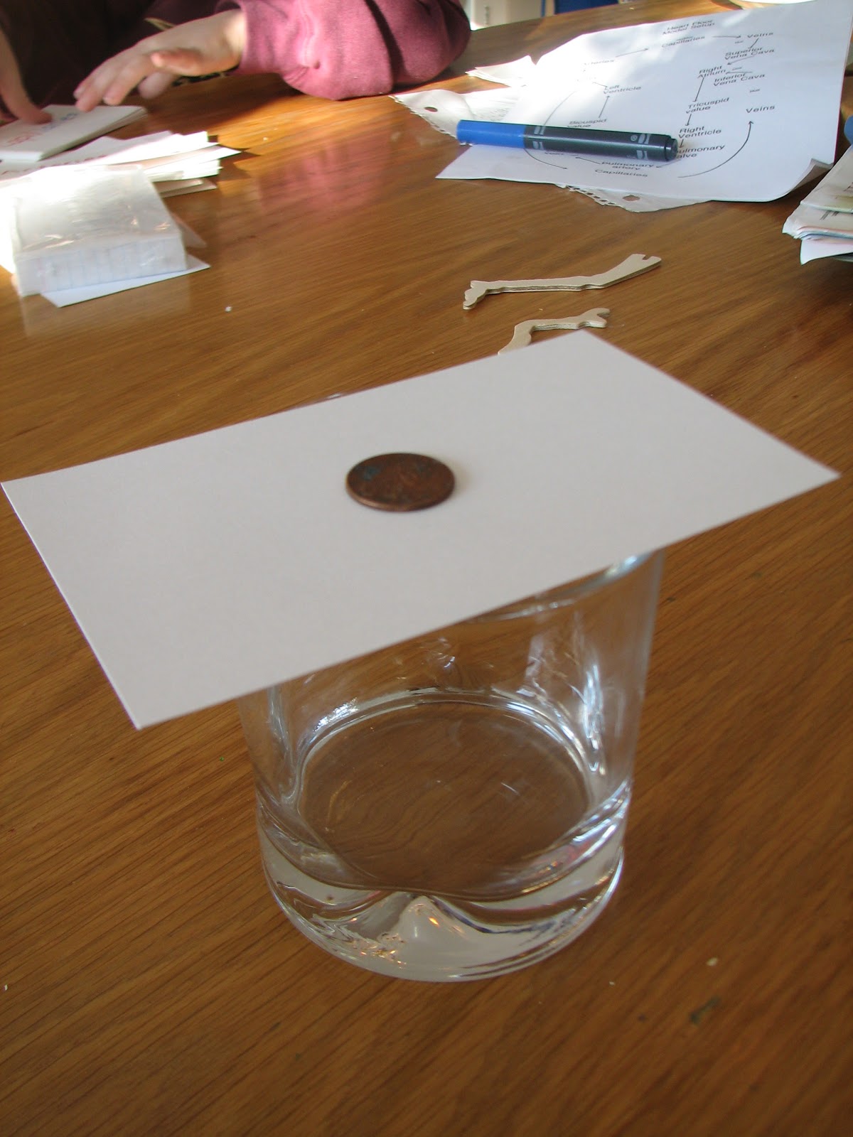 Science Matters Inertia Penny In a Cup