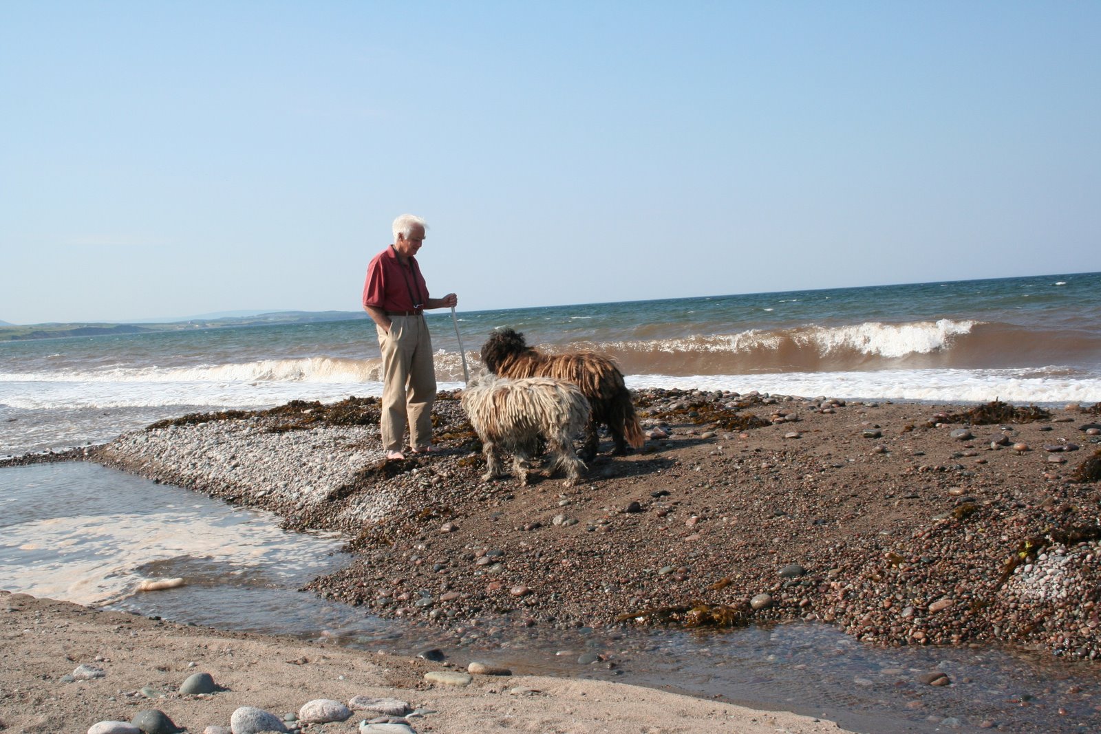 [IMG_1407.JPG]