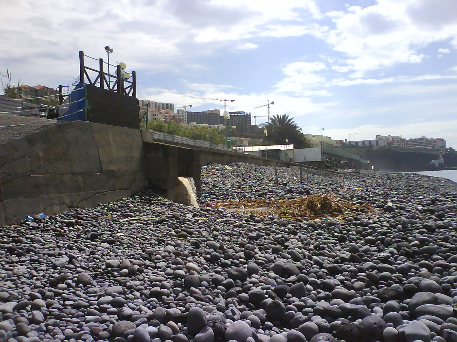 [DSC02556.JPG]