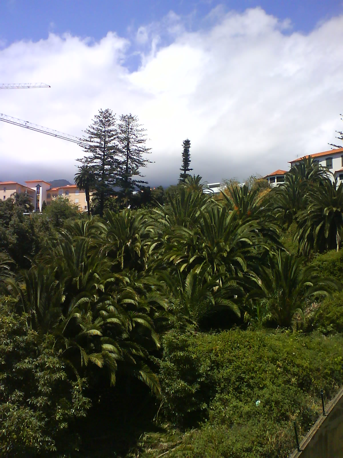 [DSC02844.JPG]