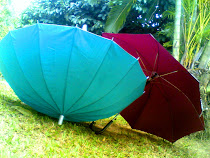 red and blue umbrella