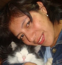Mi foto
