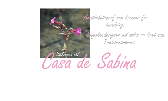 CASA DE SABINA
