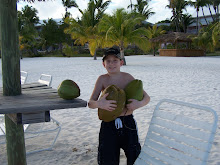 Coconuts