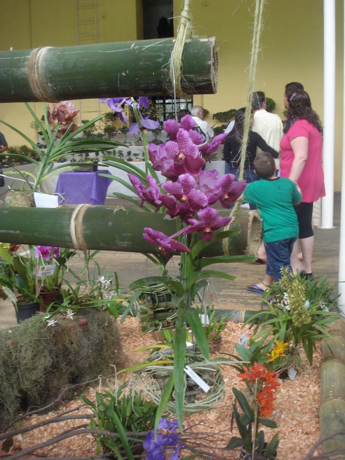 [DSC01040.JPG]
