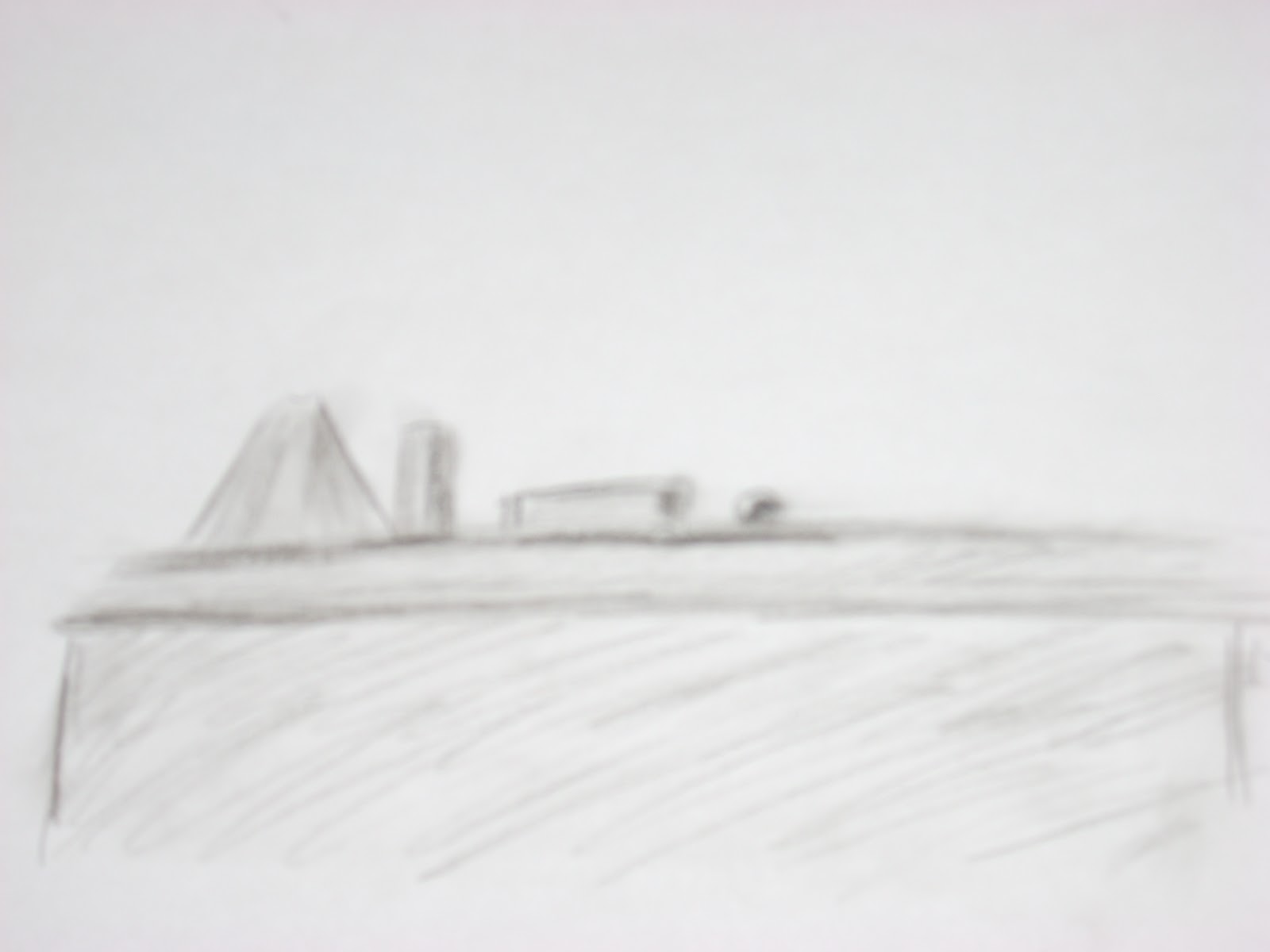 ants eye view photography