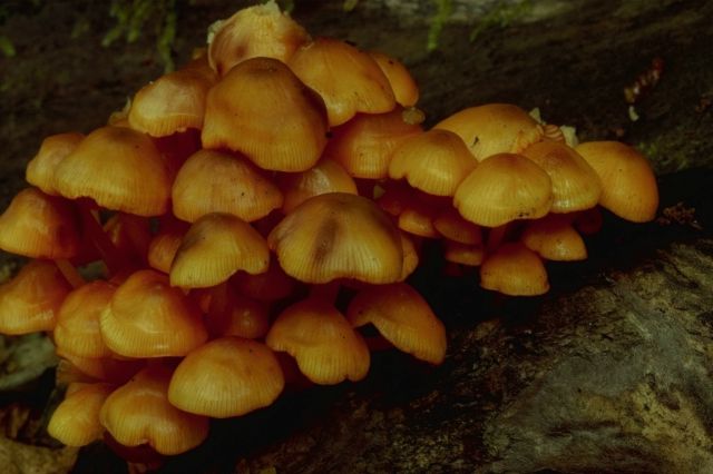 [P0300432.JPG]