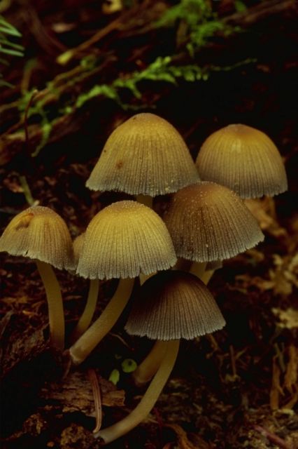 [P0300437.JPG]