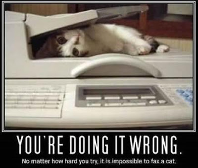 Faxcat, The cat is trying to fax itself