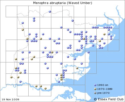 County Status - 2009