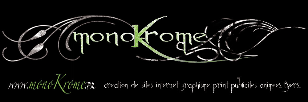 monokrome webdesign