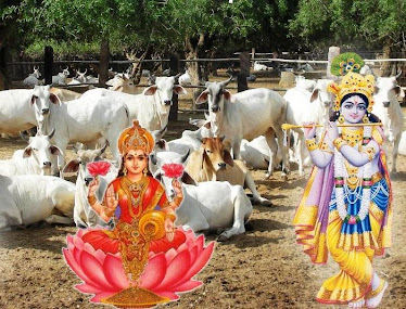 Worship Govinda!Serve Cows!!- Get blessed by Godess Lakshmi