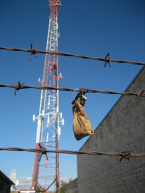 [20070122101954_img_1469_std.jpg]