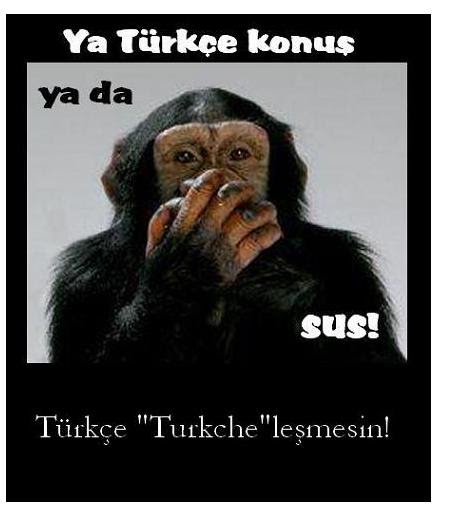 türkçe-dilbilgisi-dersleri-Kaç-yaşındayım?-bilim ve bilişim bloğu