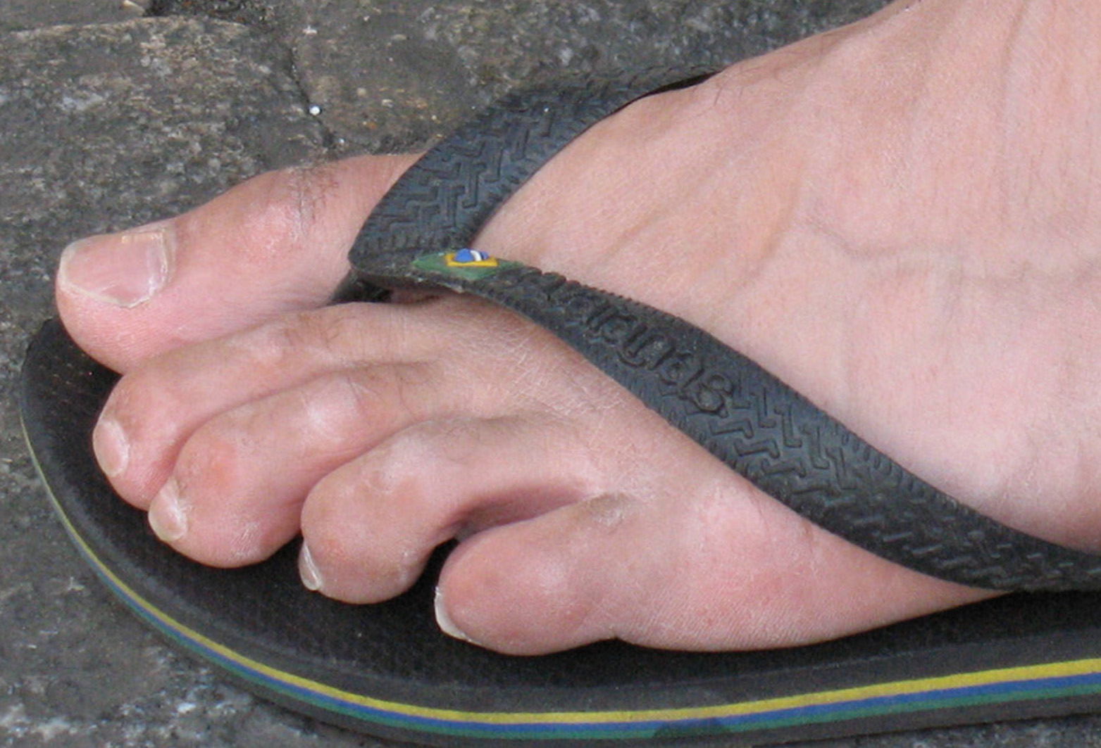 [IMG_6036.jpg]