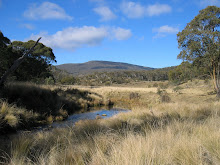 A day at Mount Clear