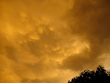 Speckie storm over Canberra