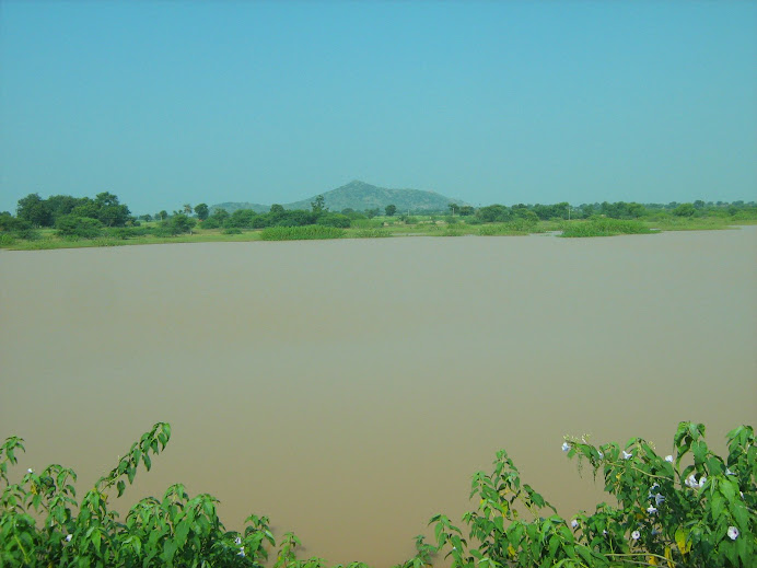 Cheruvu in Thummala Sugur