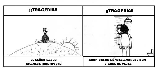 [gallo.jpg]