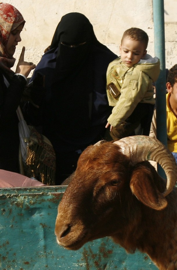 islamic slaughtering