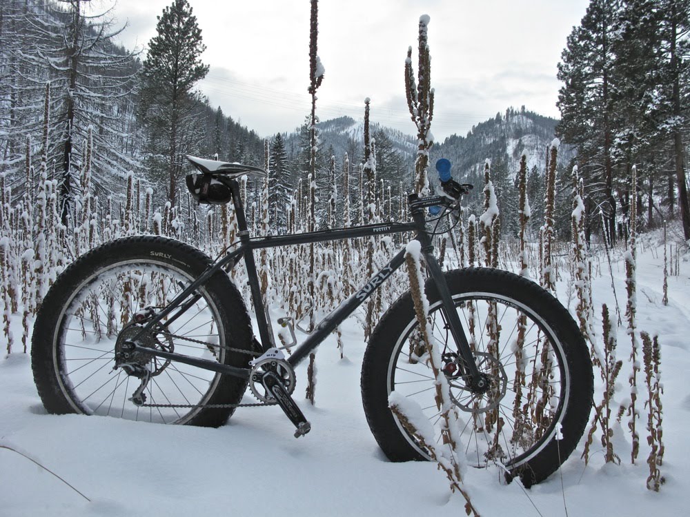 Surly Pugsley