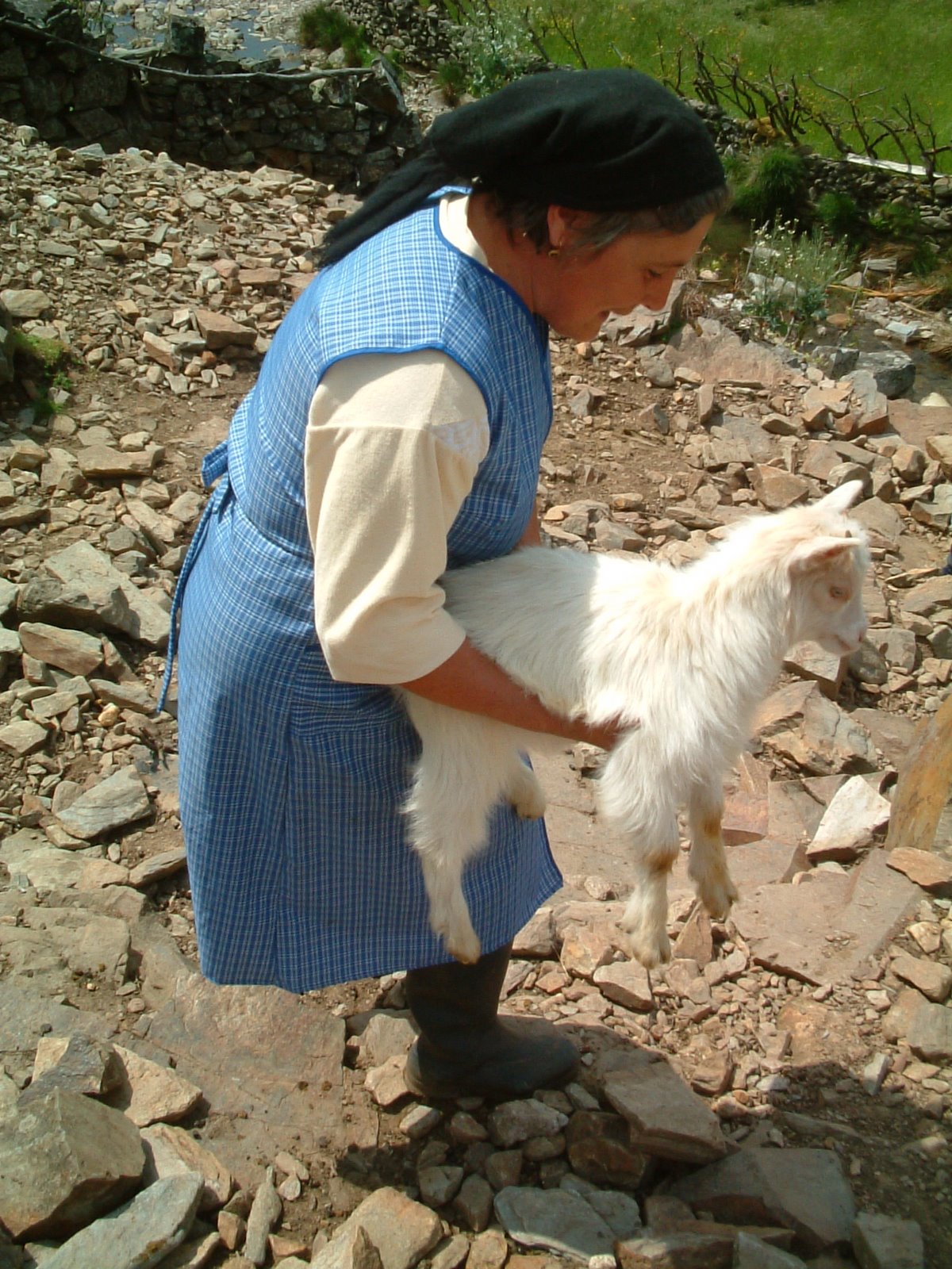 [DSCF0034.JPG]