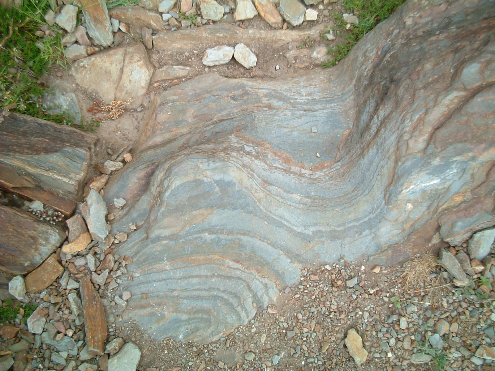 [DSCF0056.JPG]