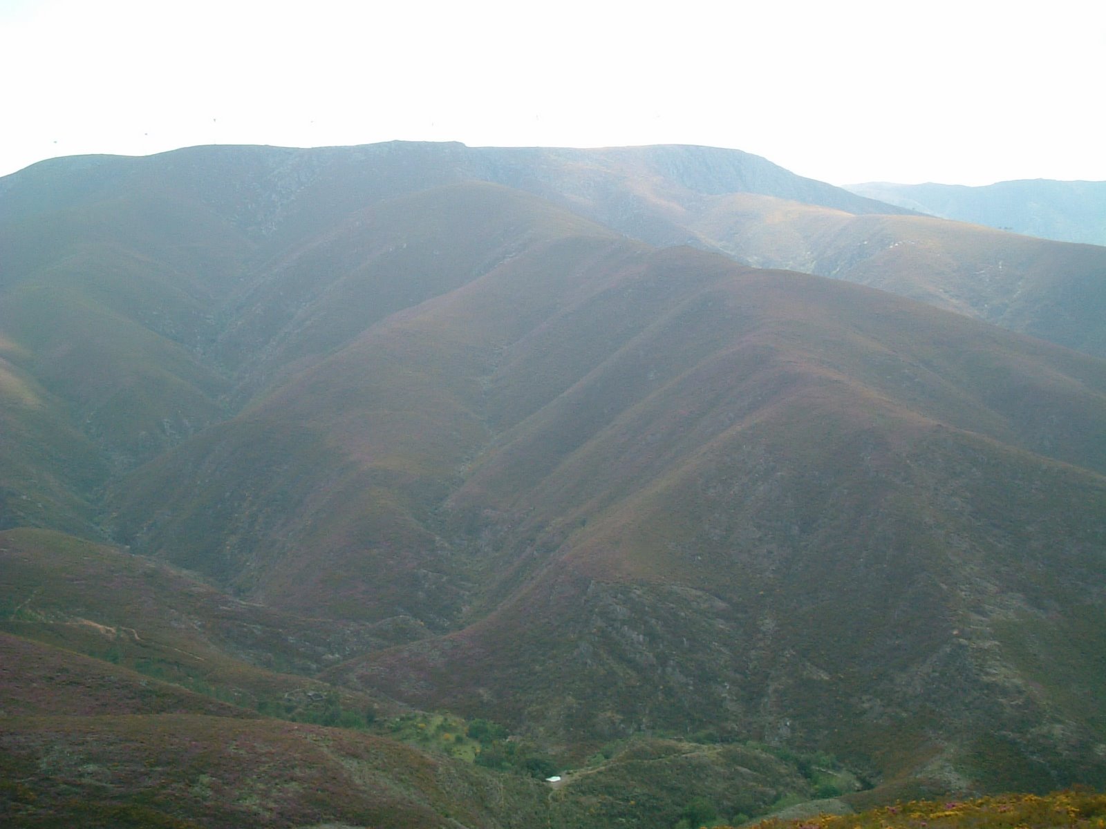 [DSCF0050.JPG]