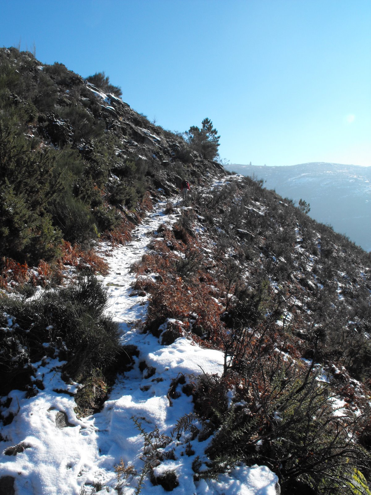 [DSCF1066.JPG]