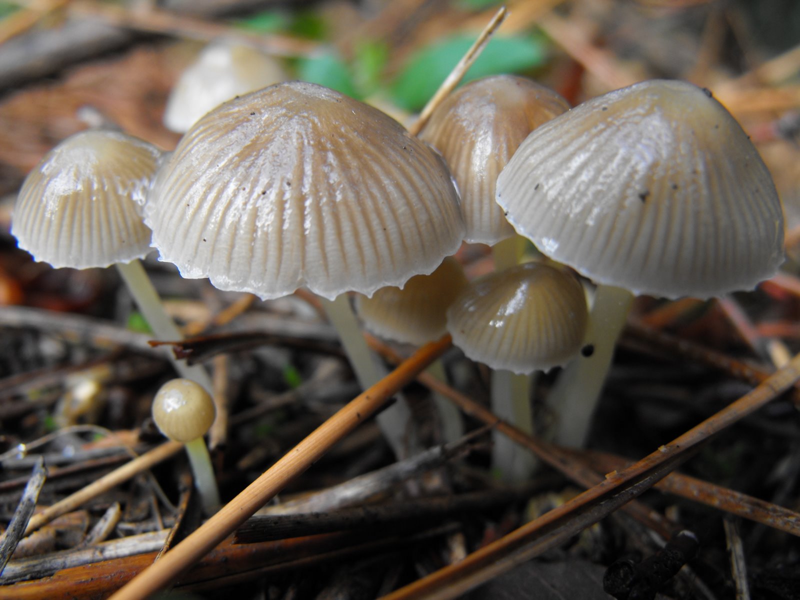 [DSCF0415.JPG]