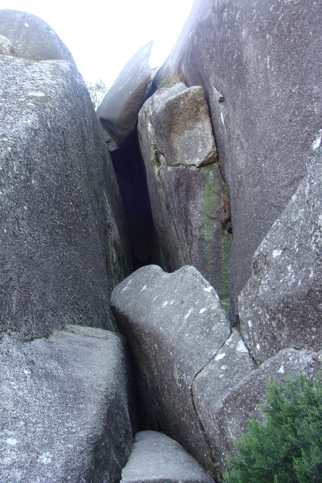 [DSC00474.JPG]