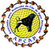 Associação para a Protecção do Cão de Água Português