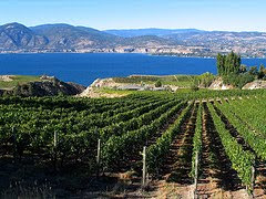 OKANAGAN is PARADISE