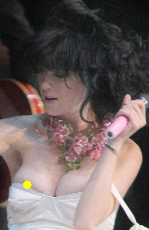 Katy Perry Celebrity Nipples Labels Katy Perry