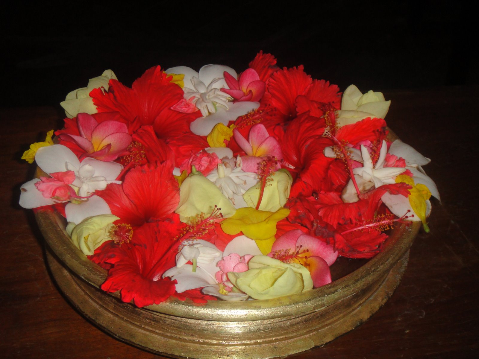 [DSC00911.JPG]
