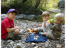 Picnic