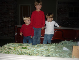 Bringing the Tree Home