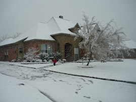 Sneaux