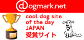 クールドッグサイト