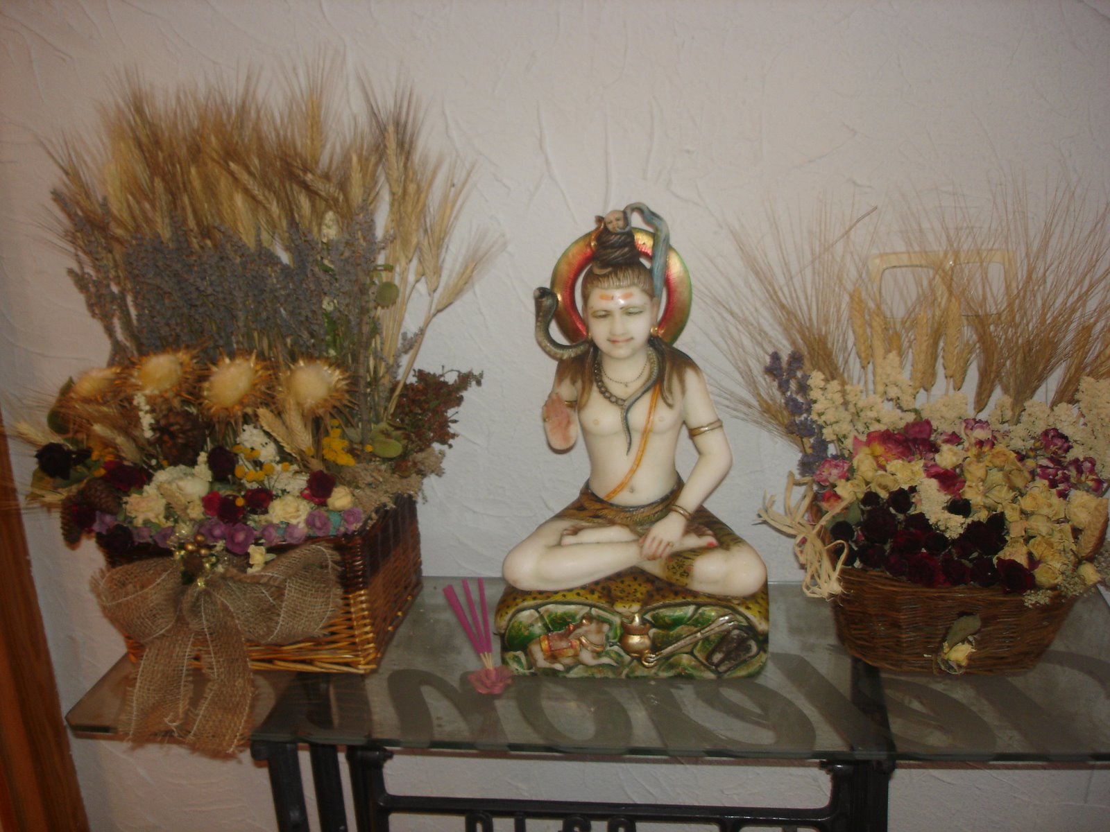 [DSC00443.JPG]