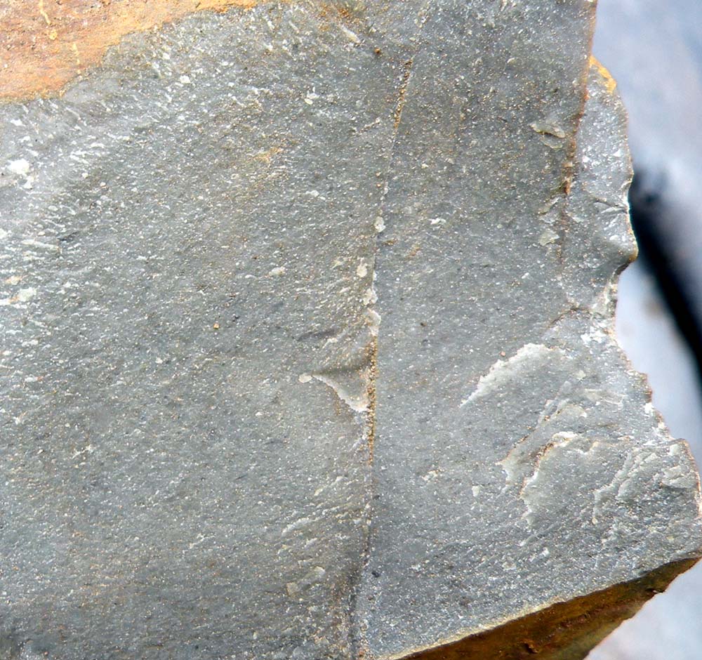 Elfshot Newfoundland Chert Photos