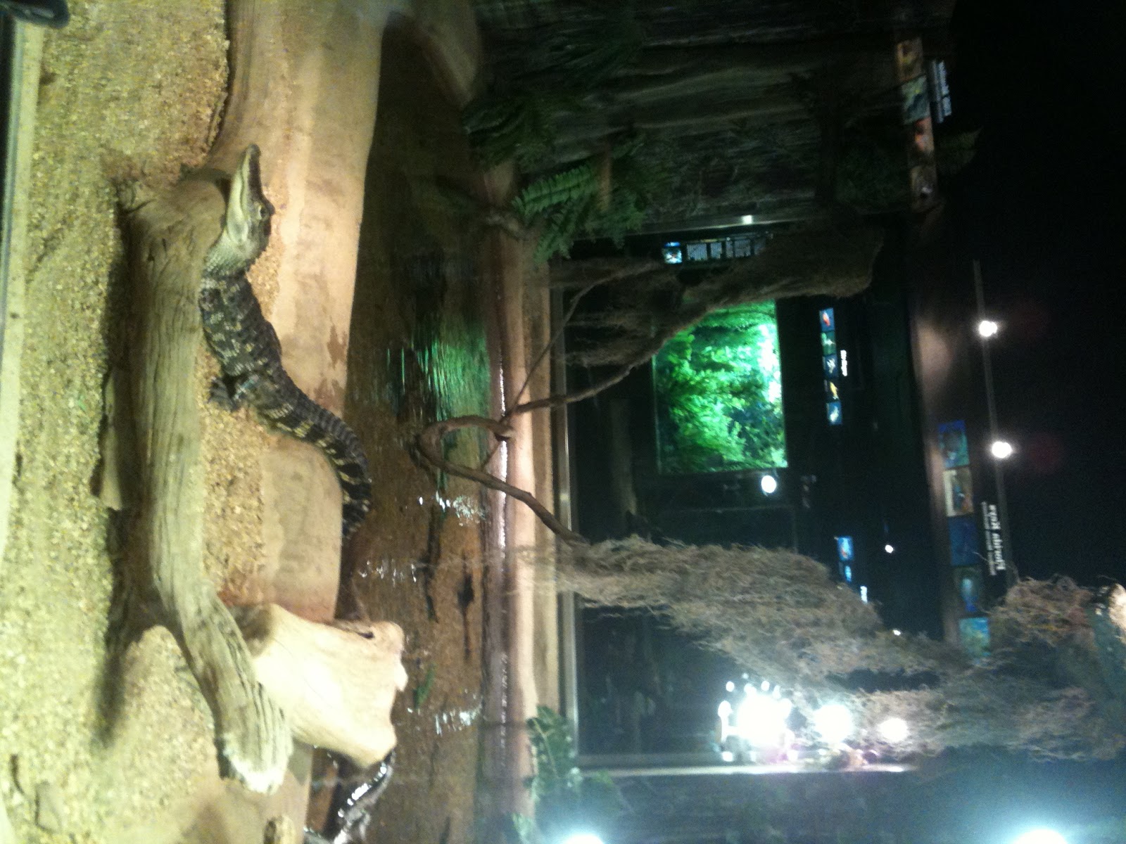 National Aquarium in Washington, DC