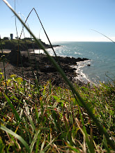 Lookout Over Lamberts Beach