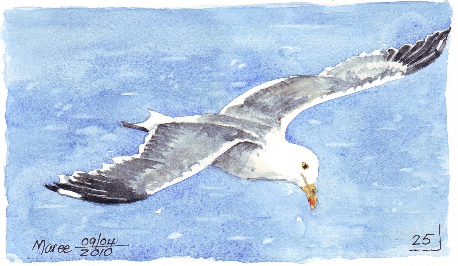 Seagull Painting