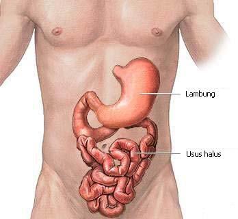 [usus.bmp]