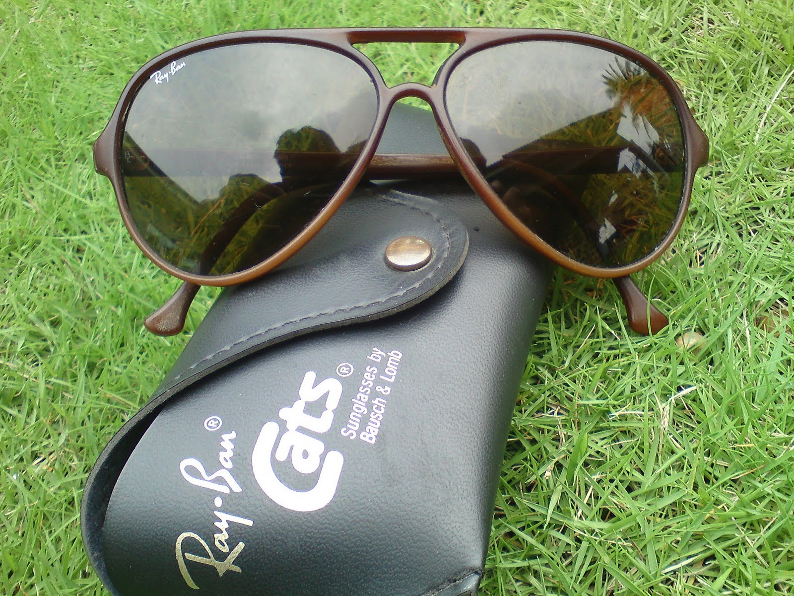 ray ban cats 8000