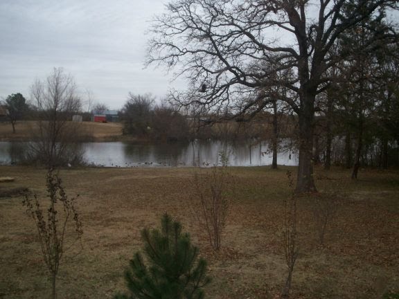 View out my cabin window