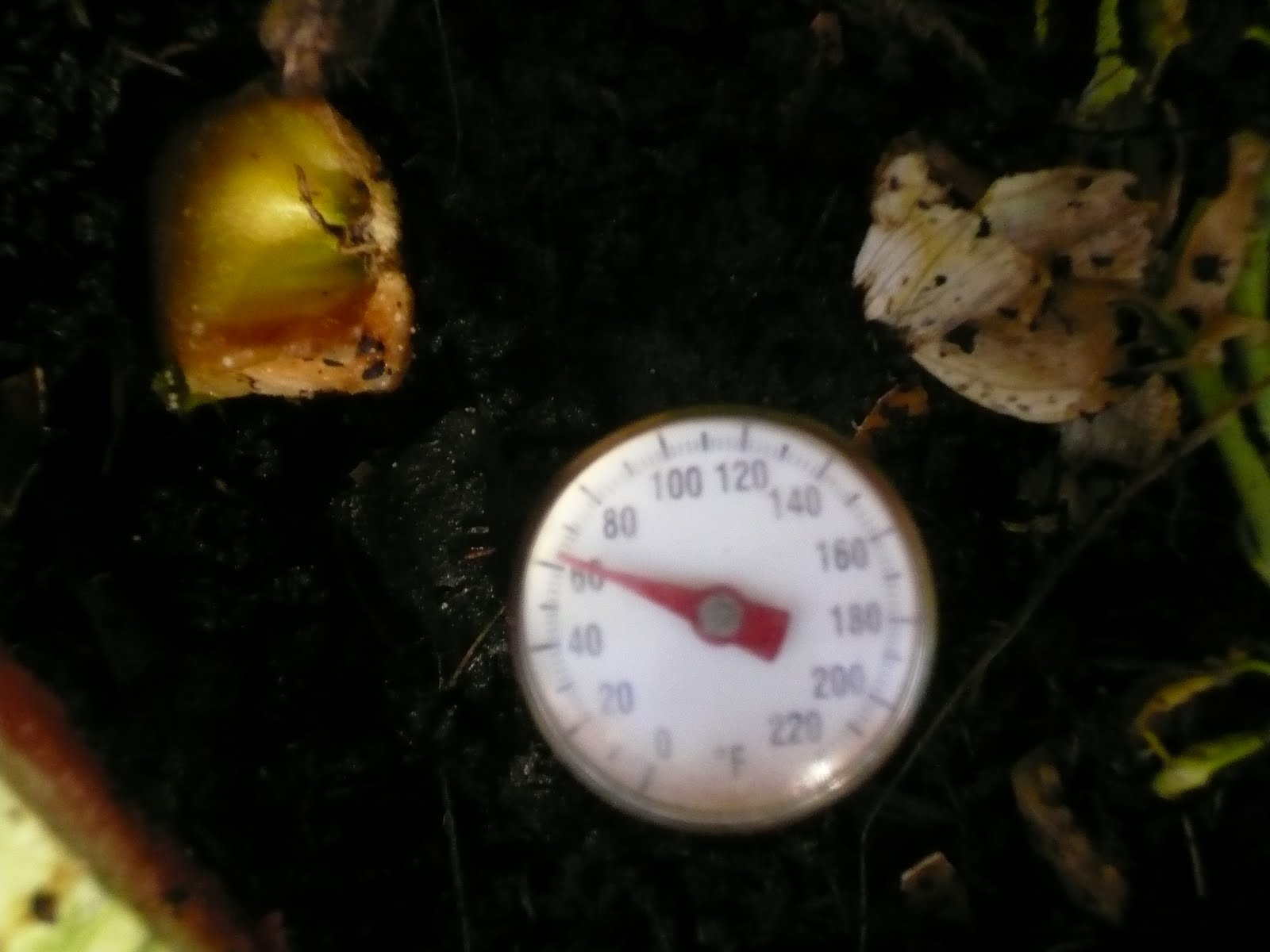 [P1050262.JPG]